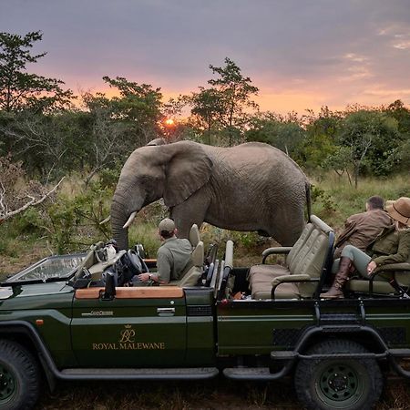 Royal Malewane Villa Thornybush Game Reserve Exterior foto