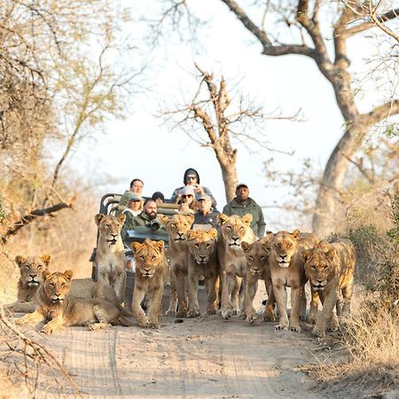 Royal Malewane Villa Thornybush Game Reserve Exterior foto