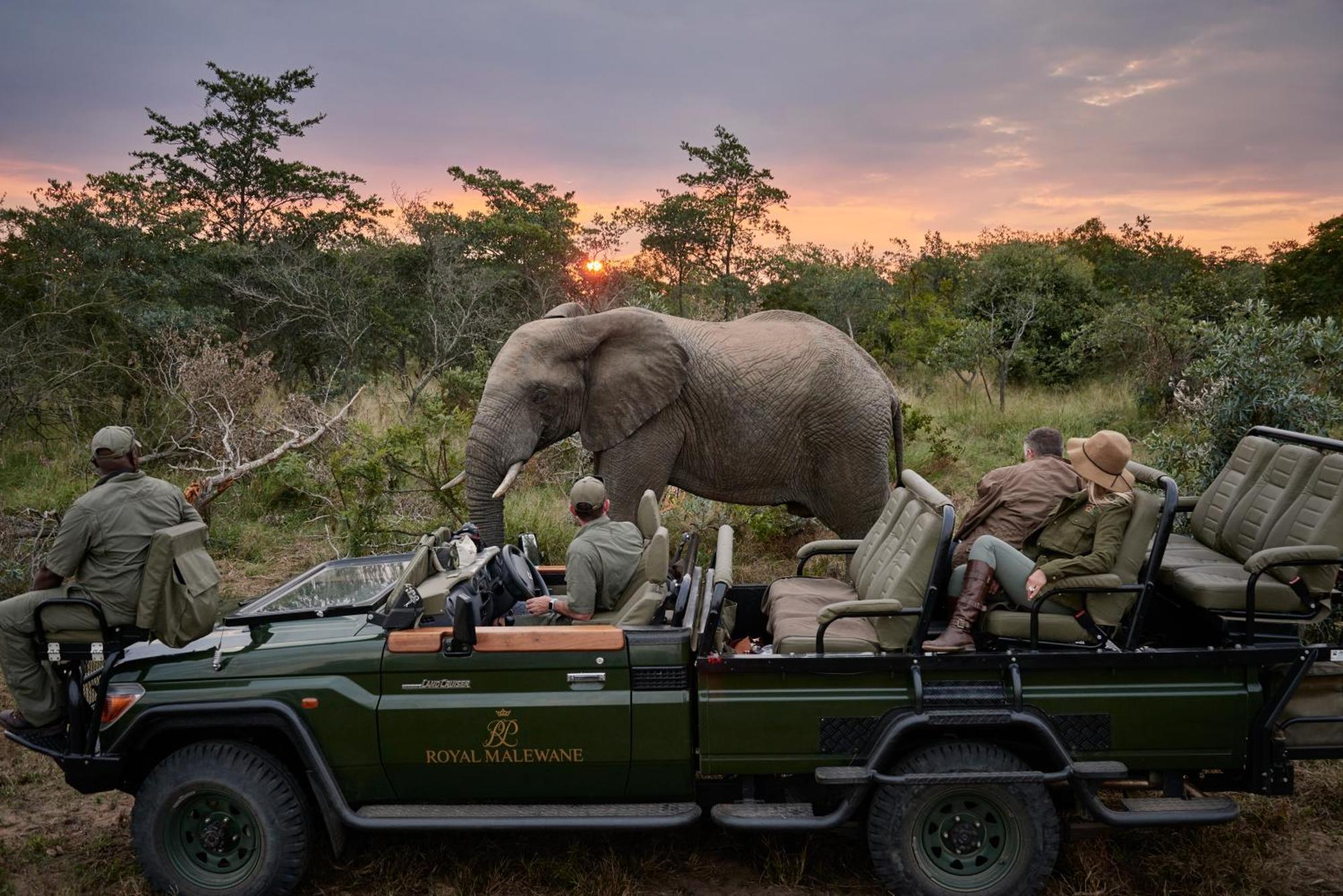 Royal Malewane Villa Thornybush Game Reserve Exterior foto