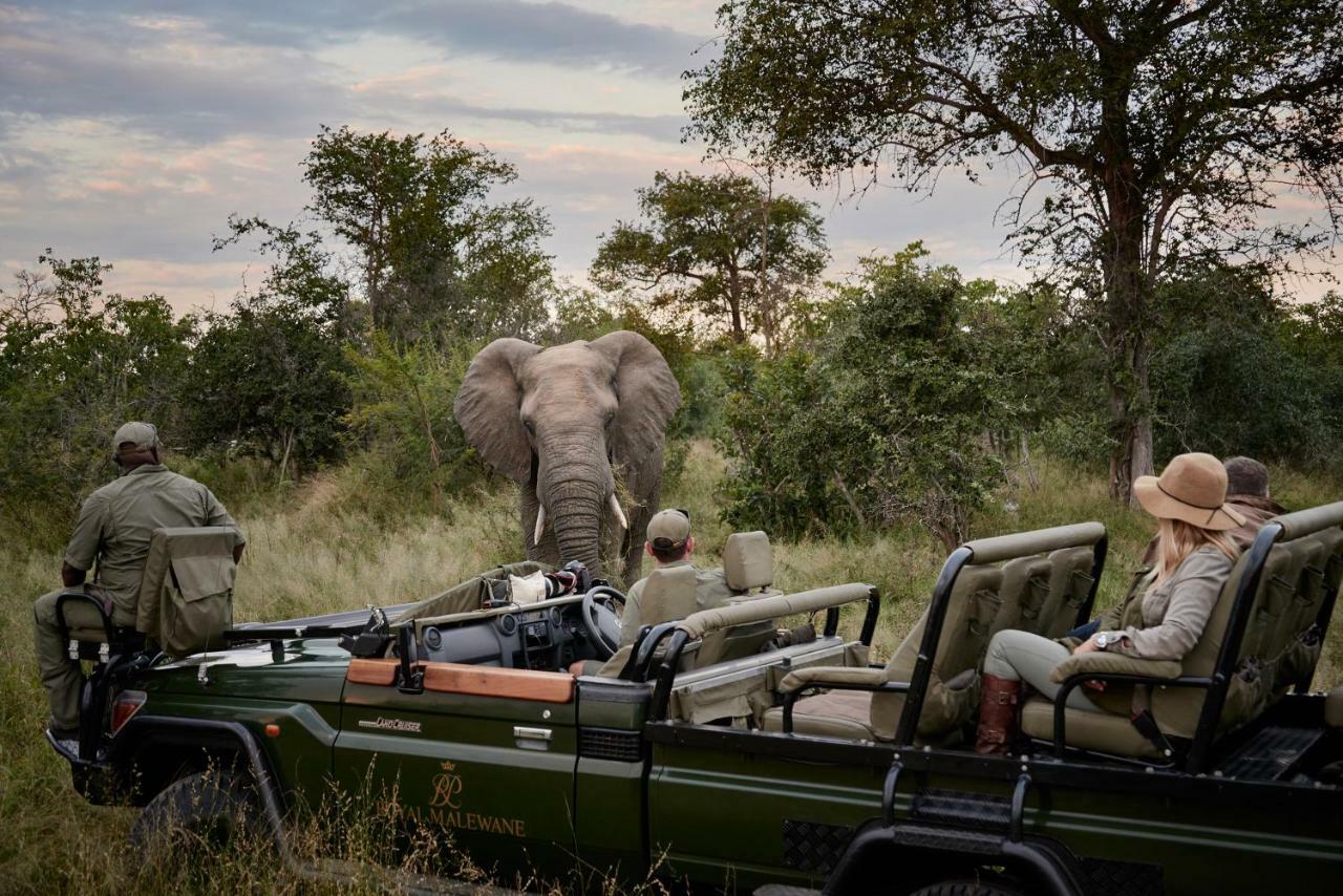 Royal Malewane Villa Thornybush Game Reserve Exterior foto